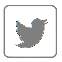 Twit